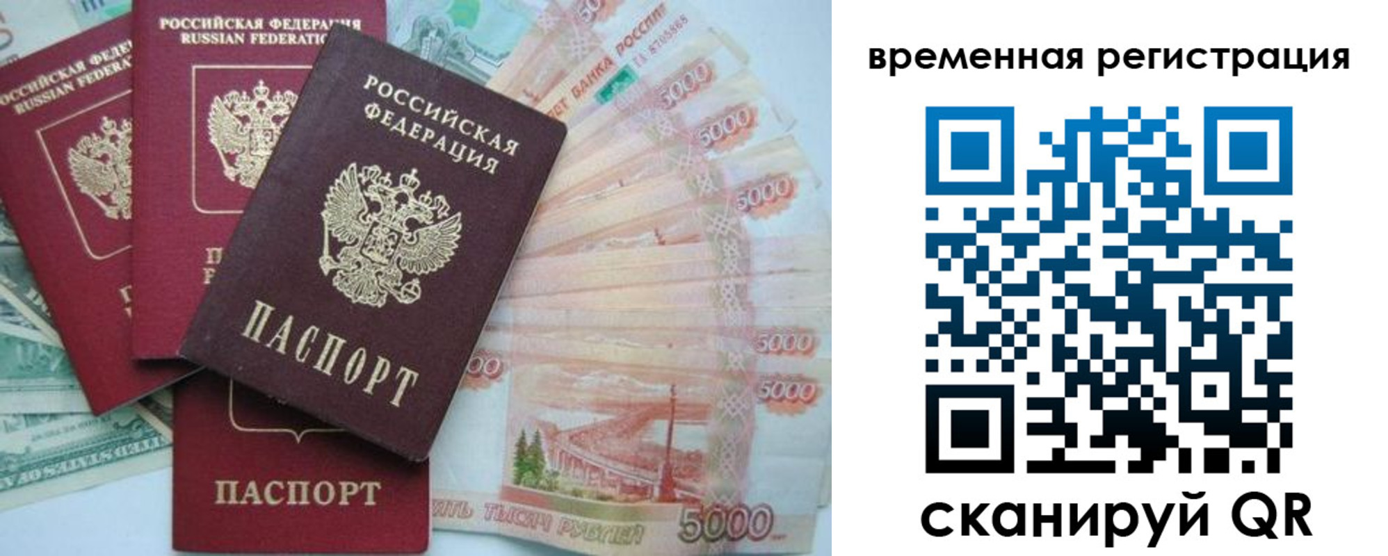 прописка 2025 в Выборге